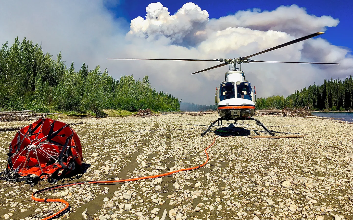 Forestry and Wildfire