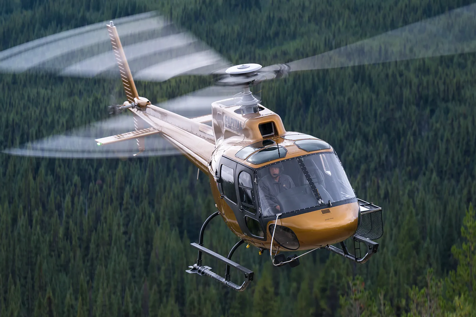 Our Fleet — Capital Helicopters